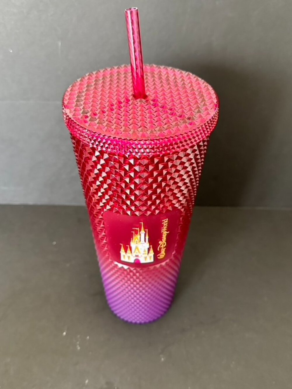 Starbucks Walt Disney World Parks Geometric Castle Tumbler With Straw Red Pink